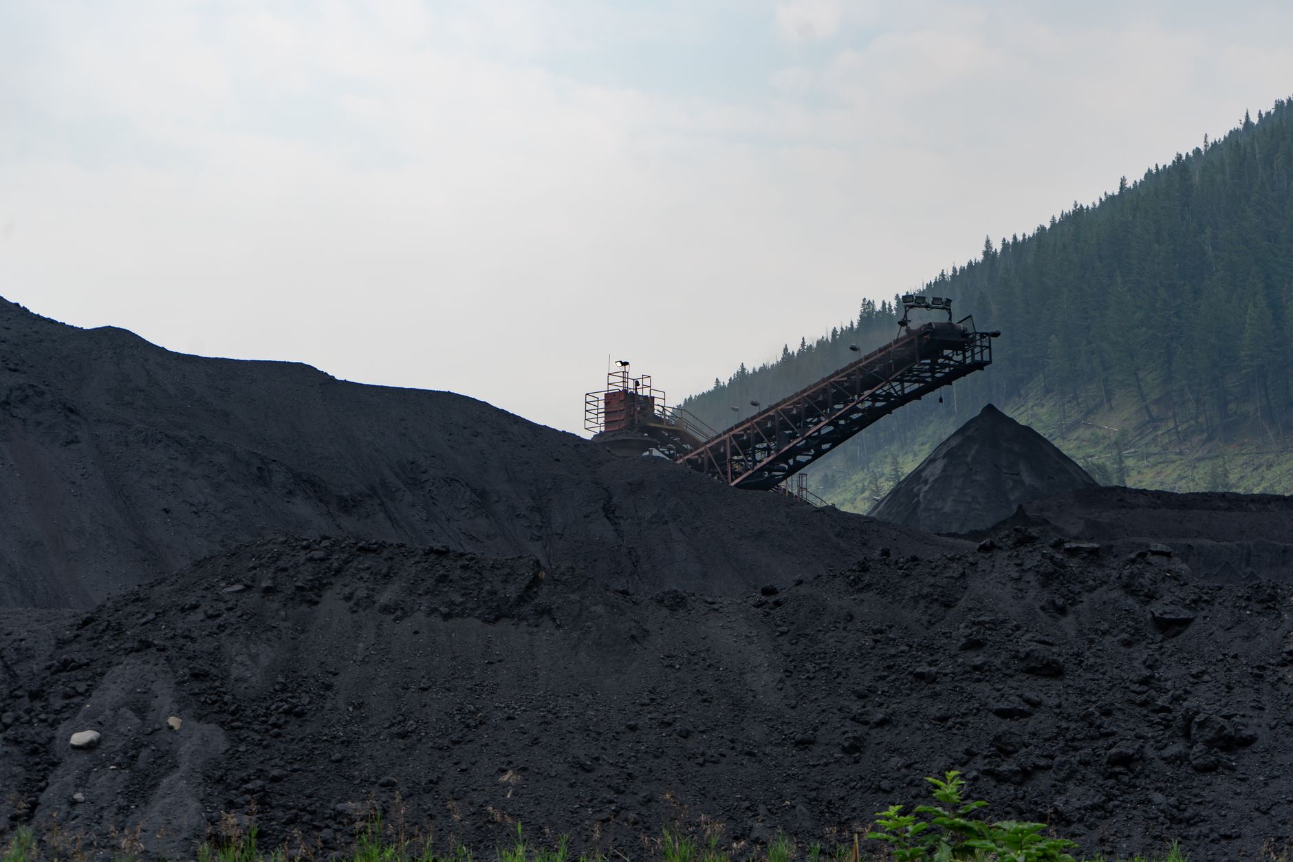 Why Total Metals Corp. stock is plummeting today