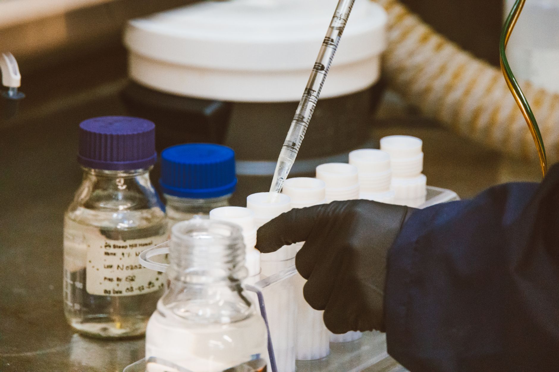 Why Rakovina Therapeutics Inc stock plummeted yesterday
