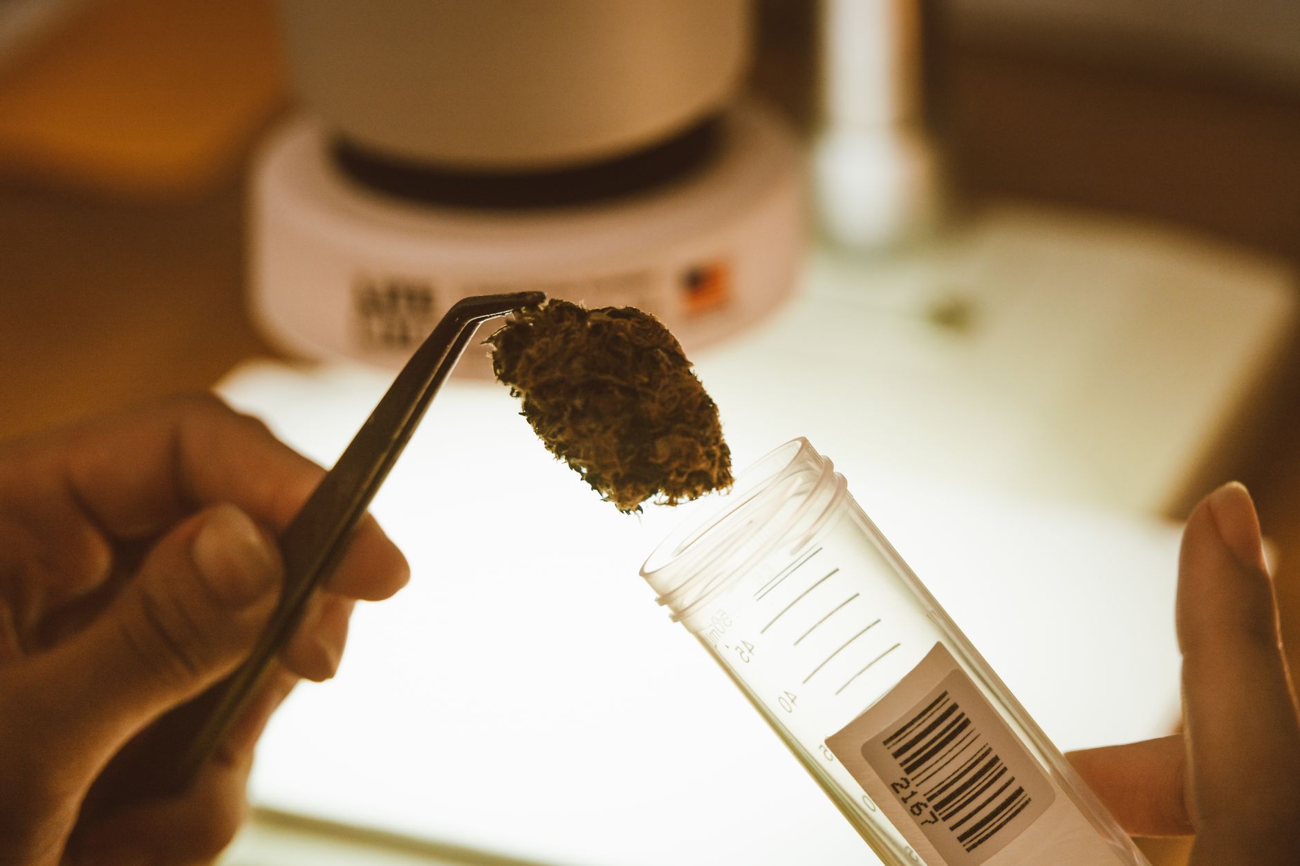 Why Avicanna Inc stock is tanking today