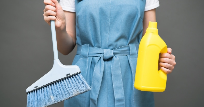How Much Does It Cost To Hire A Maid In Canada (2022)