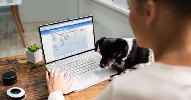 KOHO Savings Account Review 2026: An Excellent Option