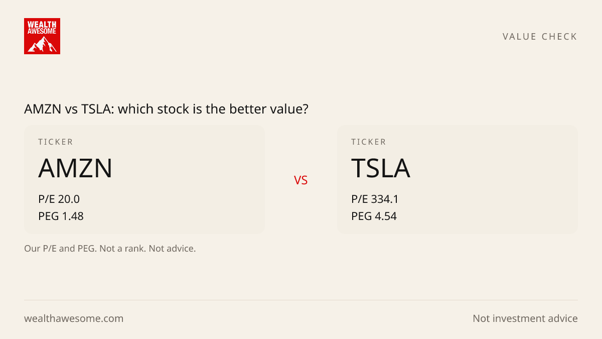 AMZN vs TSLA: which stock is the better value?