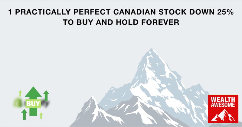 1 Practically Perfect Canadian Stock Down 25% to Buy and Hold Forever