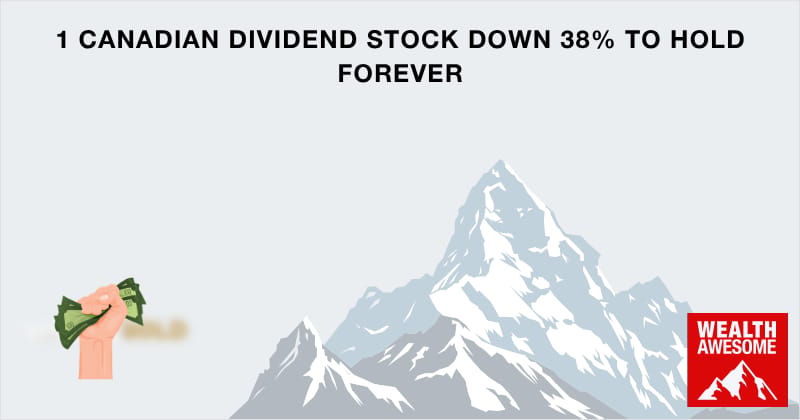1 Canadian Dividend Stock Down 38% to Hold Forever