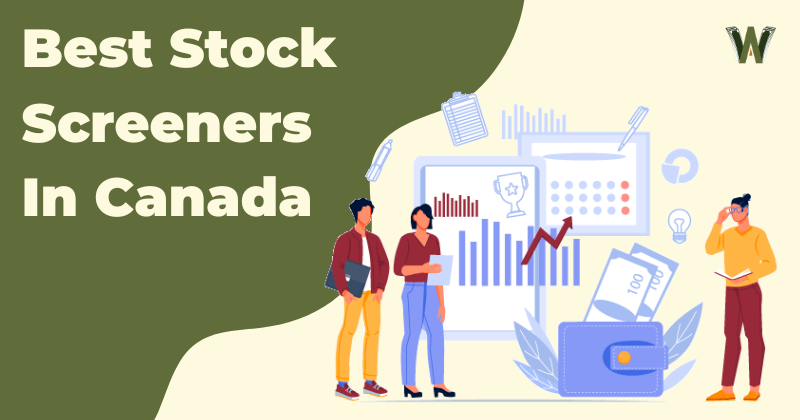 Best Stock Screeners in Canada