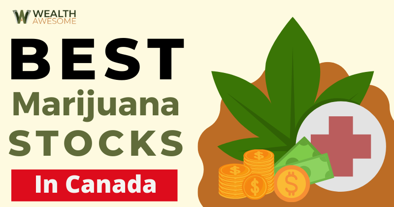 Best Marijuana Stocks In Canada