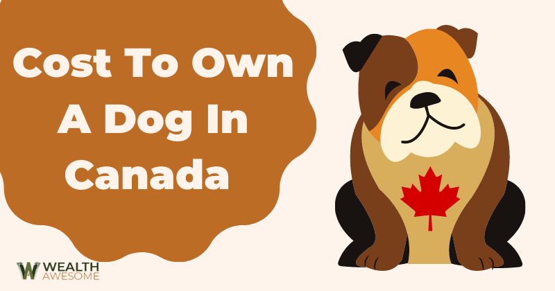 Cost To Own A Dog In Canada