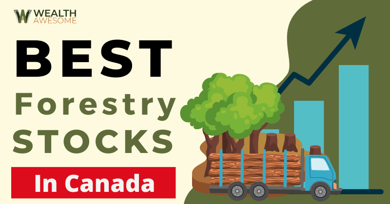 Best Forestry Stocks In Canada