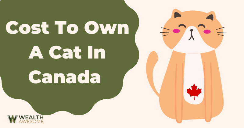 Cost to Own a Cat in Canada