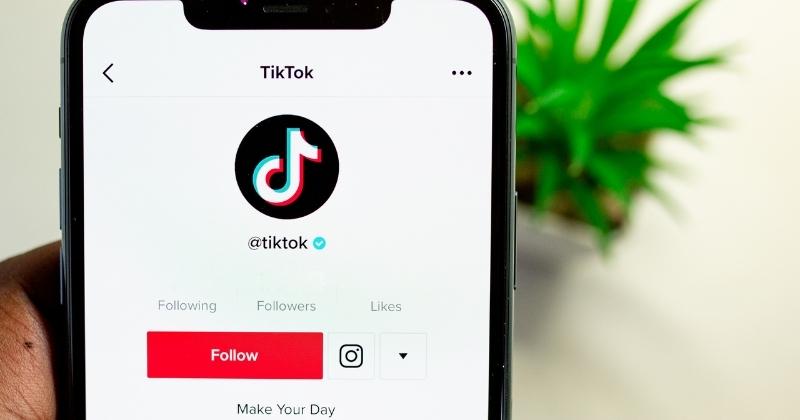 How Many Followers on TikTok to Make Money In Canada?