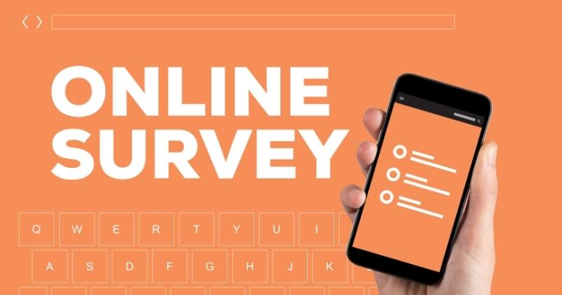 Participate in paid online surveys or focus groups