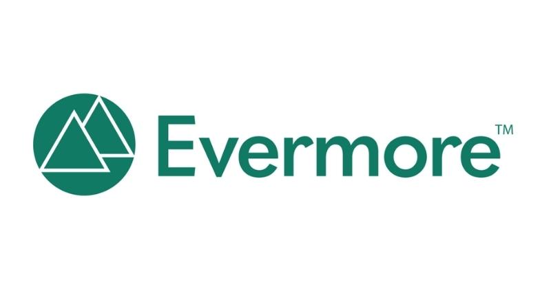 Evermore Retirement ETFs