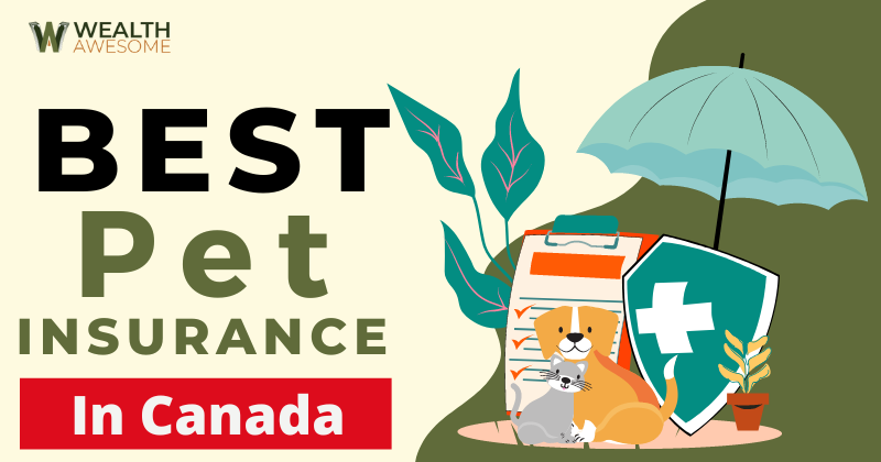 Best Pet Insurance In Canada
