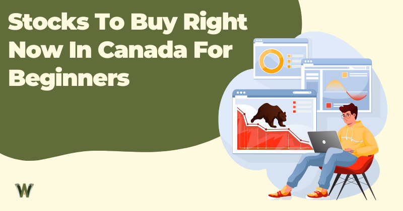 Stocks To Buy Right Now in Canada For Beginners