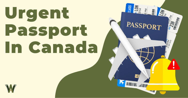 Urgent Passport In Canada