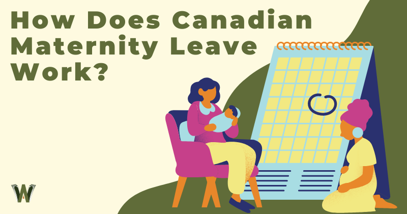 How Does Canadian Maternity Leave Work
