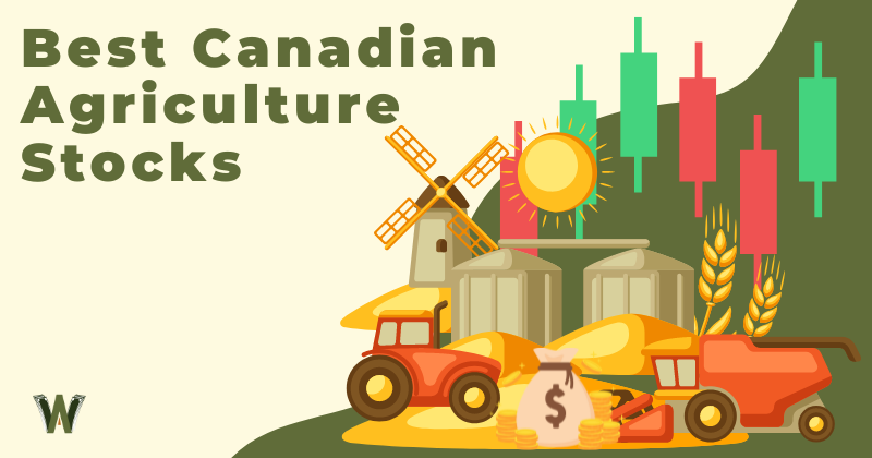 Best Canadian Agriculture Stocks