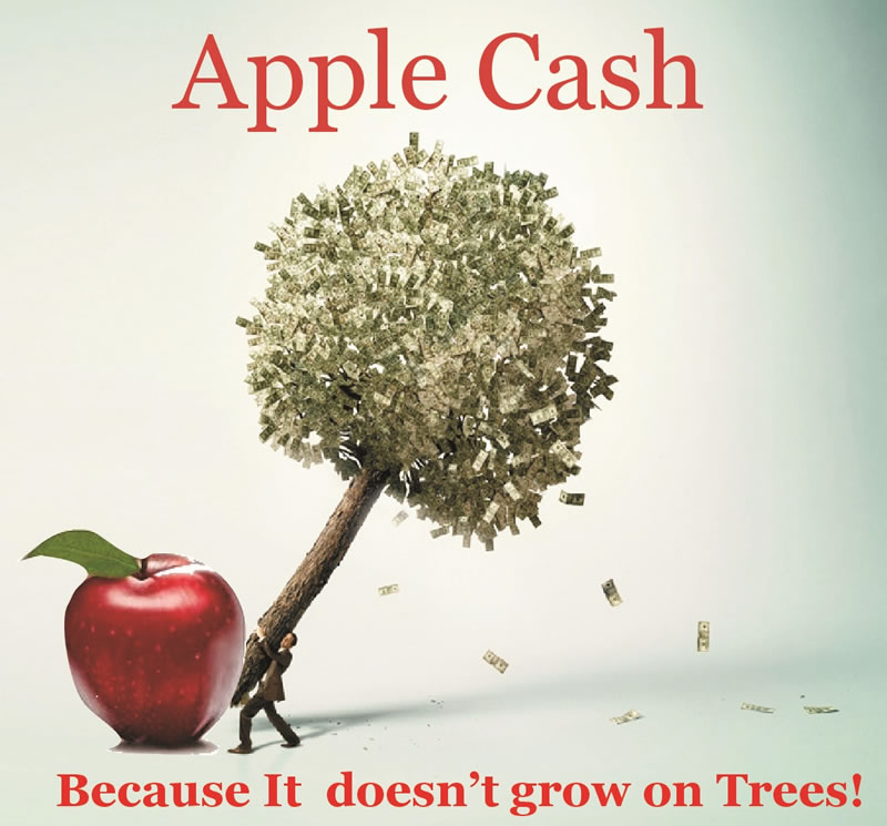 Apple Tree Cash Review