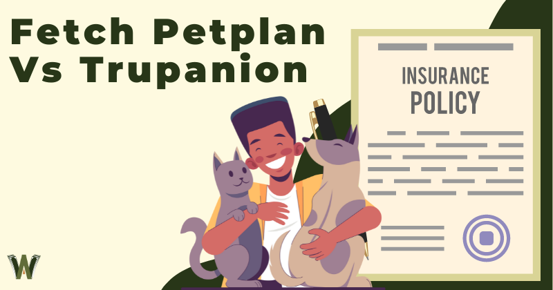 Fetch Petplan vs Trupanion