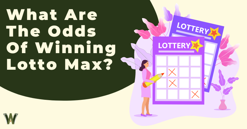 What Are The Odds Of Winning Lotto Max