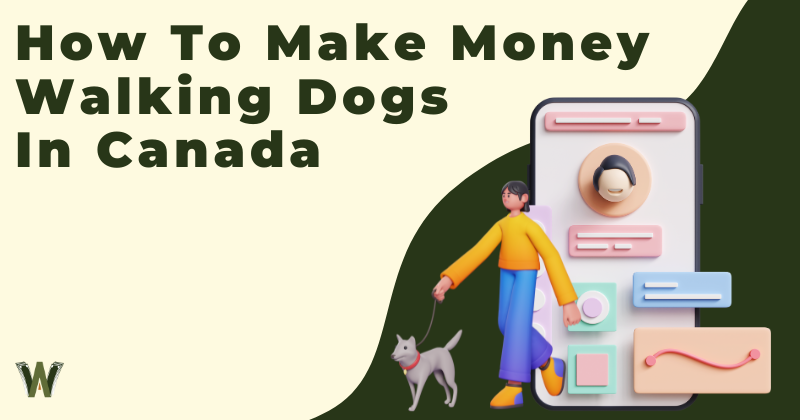 How To Make Money Walking Dogs In Canada